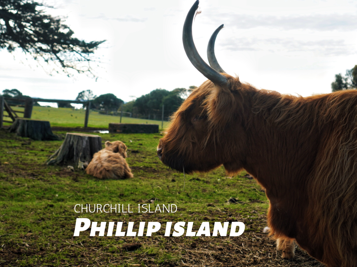 Old Farm Experience in Churchill Island, Melbourne