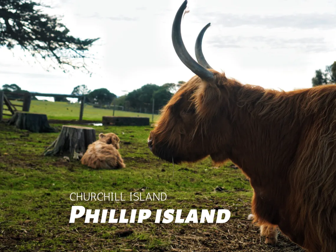 Old Farm Experience in Churchill Island, Melbourne