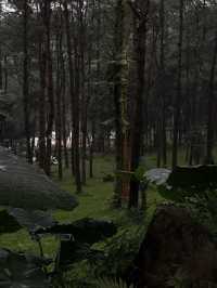evokes serenity and timelessness
