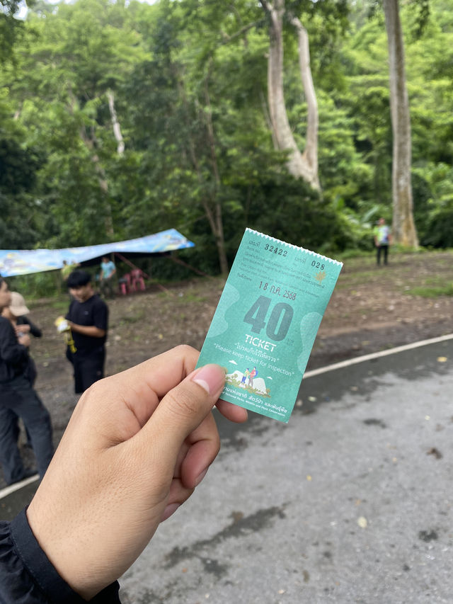 เดินป่าน้ำตกโกรกอีดก