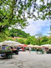 Ljubljana, Slovenia – A Green Gem of Central Europe 🇸🇮🌿