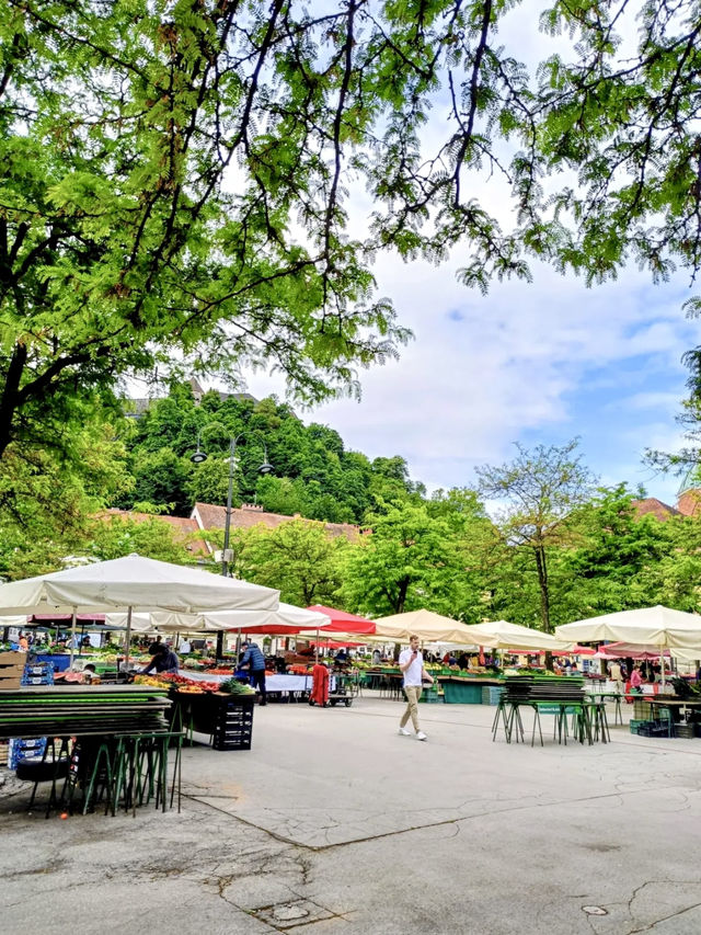 Ljubljana, Slovenia – A Green Gem of Central Europe 🇸🇮🌿