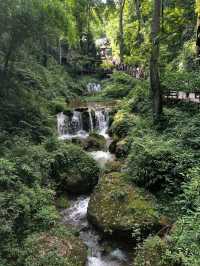 Qingchengshan Is Like Walking Into a Peaceful Kung Fu Movie