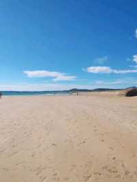 Peaceful Waves and Pine Trees at Praia do Vilar