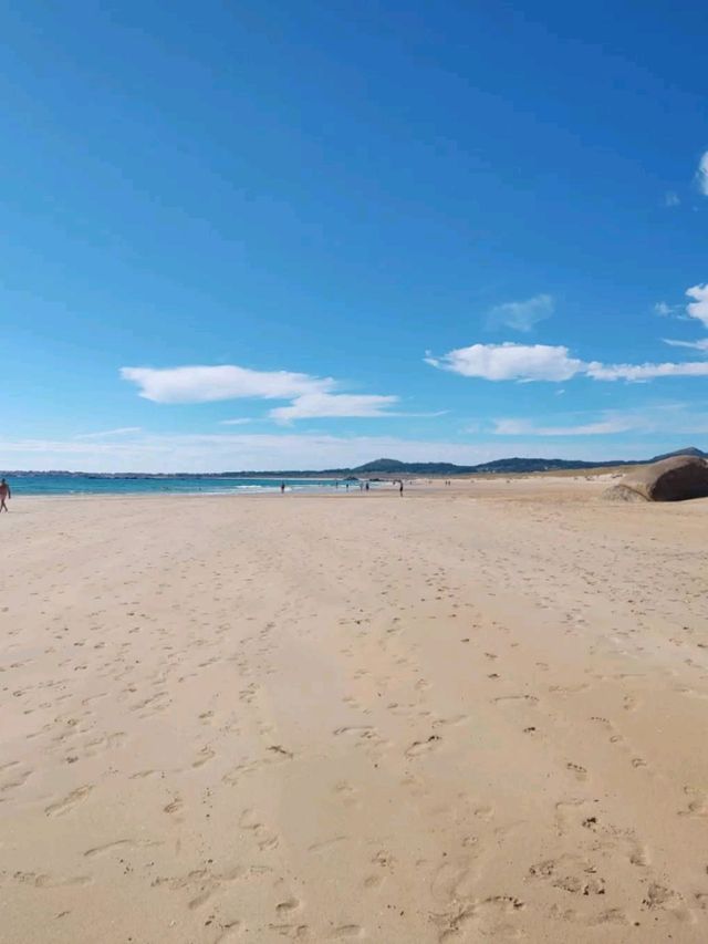 Peaceful Waves and Pine Trees at Praia do Vilar