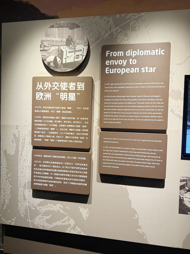 รีวิว Chengdu Giant Panda Museum