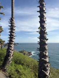 Promthep Cape in Phuket