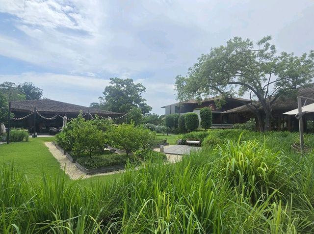 ANdAZ พัทยา โรงแรมในสวน ริมทะเล