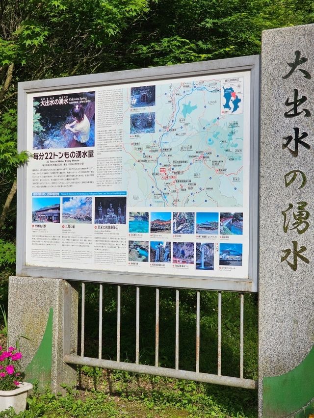 森がくれた湧きしずく✨ 霧島の清流と静寂を感じて