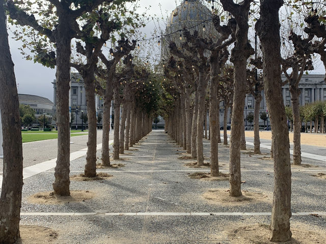 舊金山市政廳｜金頂圓頂建築的政治與藝術殿堂 🏛️