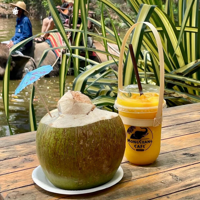 森の中の秘密基地！チョンブリーで見つけた動物カフェ「Monchang Cafe」🇹🇭