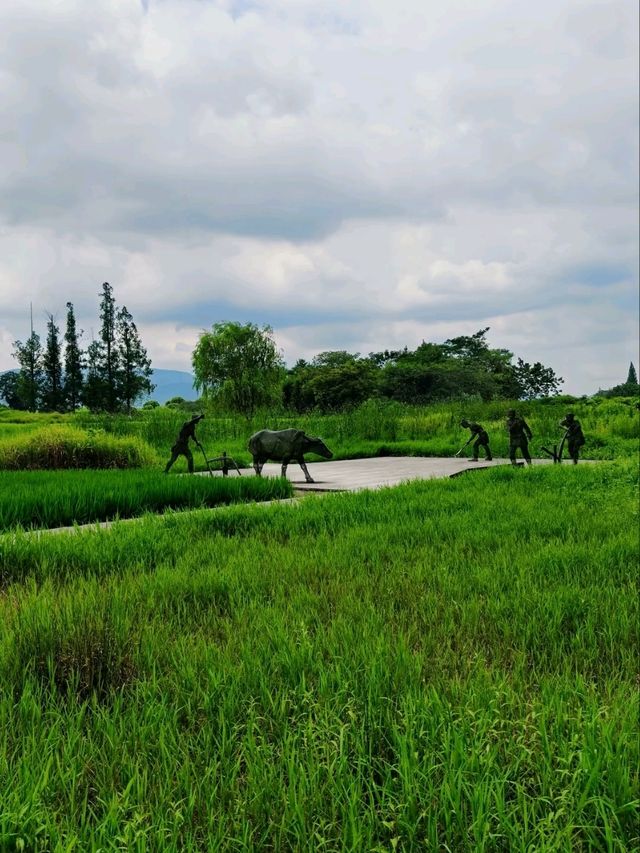 A Harmonious Blend Of Nature And Antiquity