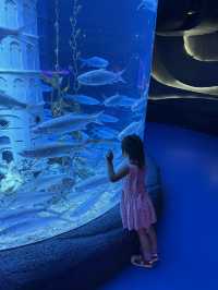 Aquarium in a mall?? Only at Jakarta Aquarium and Safari!