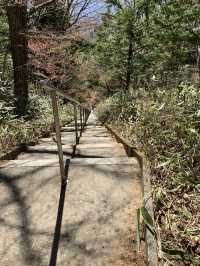 【山梨・山中湖村】⛰️石割山〜富士山が大展望できる穴場登山スポット〜 