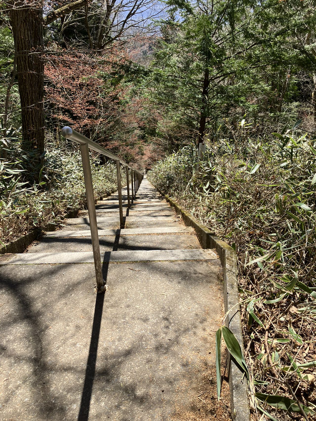 【山梨・山中湖村】⛰️石割山〜富士山が大展望できる穴場登山スポット〜 