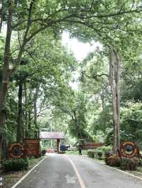 ไปเติมพลังให้ธรรมชาติโอบกอดกัน !!!