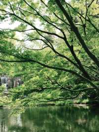 💧🏞️水と音がつなぐ非日常──品川・御殿山庭園の滝散歩