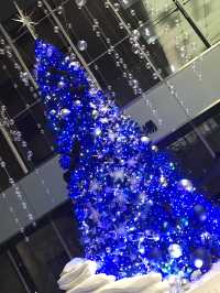 🌲2020年 東京丸の内クリスマスツリー と2025年に乞うご期待❣️