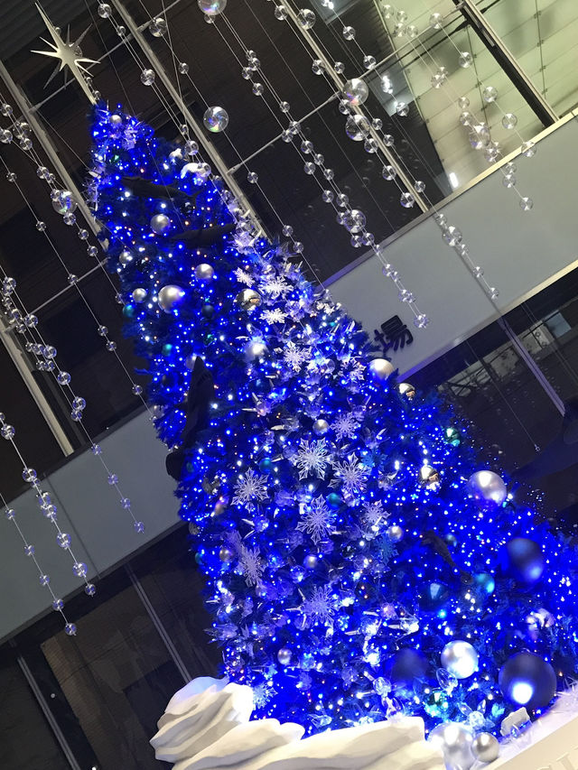 🌲2020年 東京丸の内クリスマスツリー と2025年に乞うご期待❣️