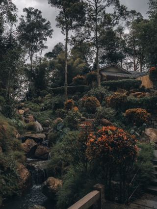 A Peaceful Escape: Japanese Village Near Genting Highlands 🇯🇵🌿
