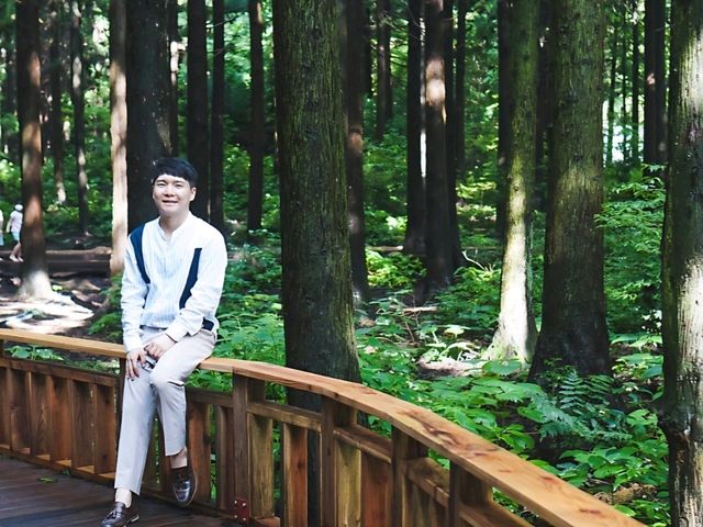 [제주도] 제주 사려니숲길 🌿🌲