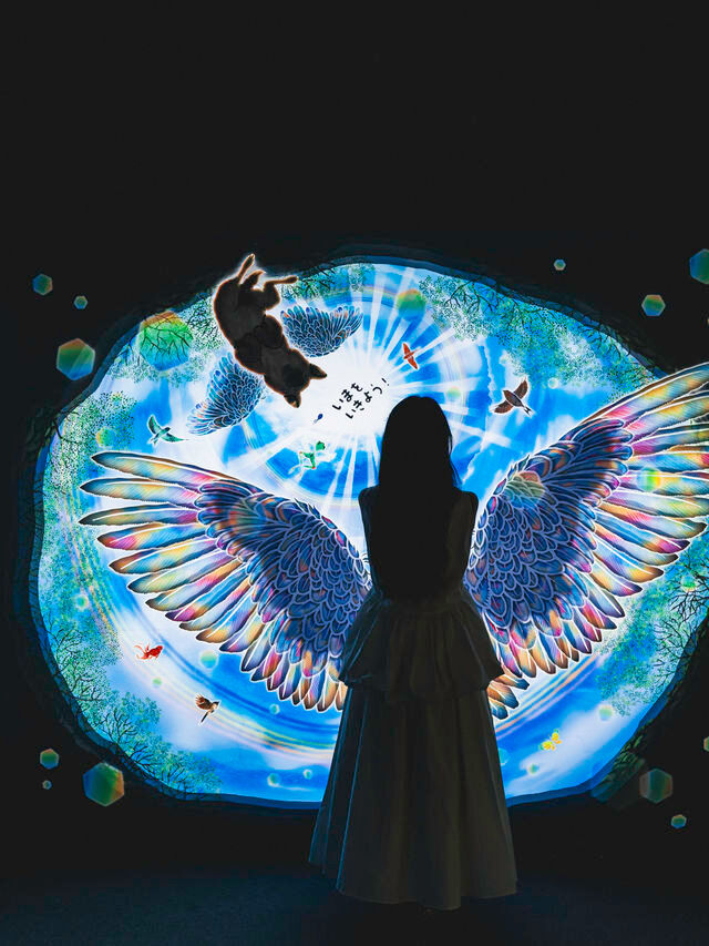 映像×物語 体験型の空間アート『旅する光の切り絵展』🐬