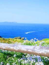 ソウルから気軽にいける韓国のハワイ、チェジュ島