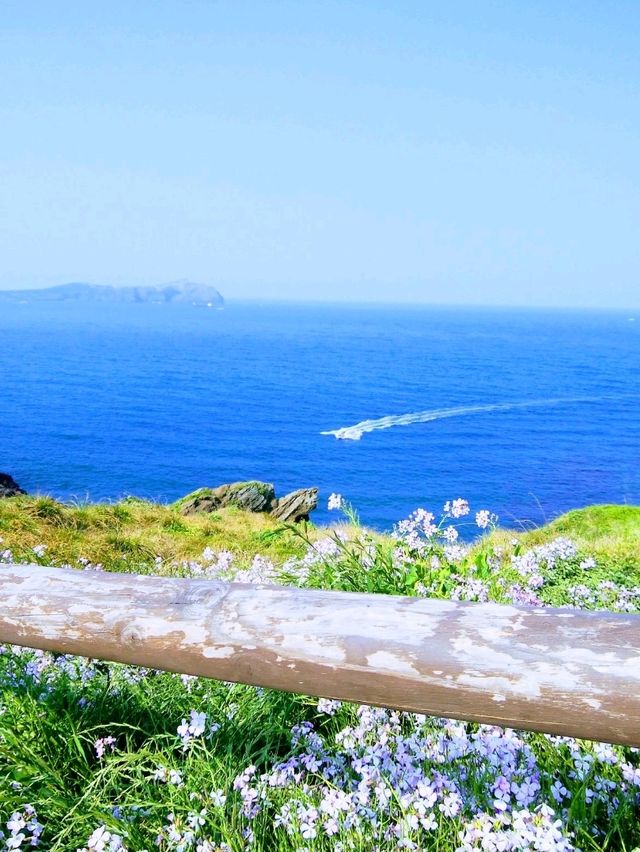 ソウルから気軽にいける韓国のハワイ、チェジュ島