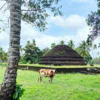 Exploring the Historic Panduwasnuwara Raja Maha Vihara