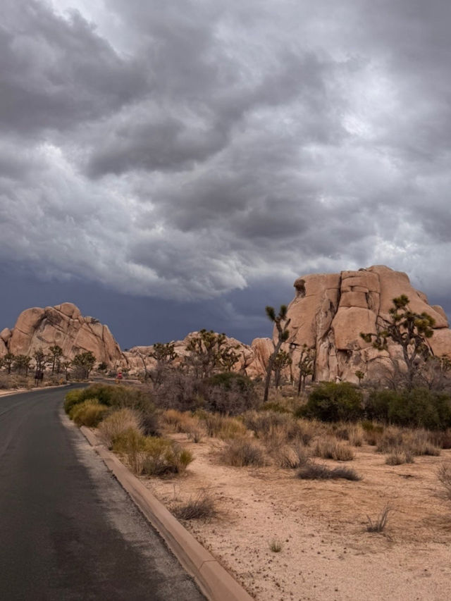 🌆 미국 서부 여행 ② 도시와 자유의 로드트립