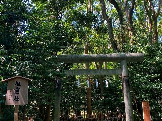 Tsurugaoka Hachimangu – The Spiritual Heart of Kamakura ⛩️