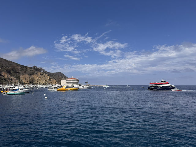 미스터트롯3 TOP7과 함께한 환상의 크루즈 여행, 카탈리나 섬과 엔세나다에서 선상 갈라쇼까지! 미스터트롯3 TOP7과 함께한 환상의 크루즈 여행, 카탈리나 섬과 엔세나다에서 선상 갈라쇼까지!