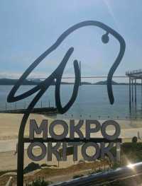 ๐ ๋ชฉํฌ ์ ๋ฌ์ ์์ง, ์ค์นด์ด์ํฌ