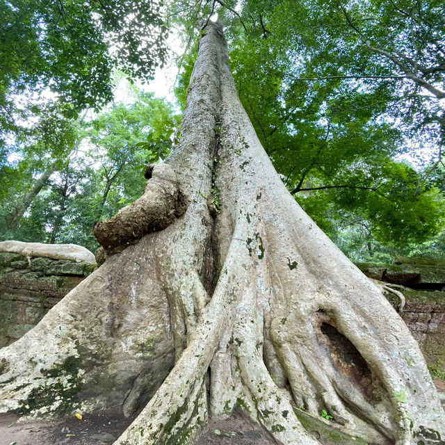 The spiritual devotion of the Khmer Empire 👫😎👍😍🌸❤️