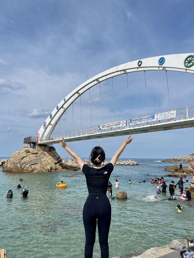 삼척 스노쿨링스팟 삼척 스노쿨링스팟