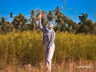 ทุ่งนาบนเกาะกลาง จังหวัดกระบี่ 