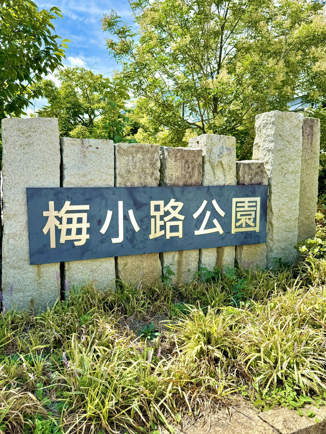 🌳 교토 우메코지공원 여행 가이드