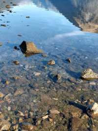 Nelson Lakes National Park ๐๏ธ