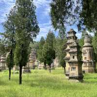 🛕 Shaolin Temple — Cradle of Kung Fu & Zen