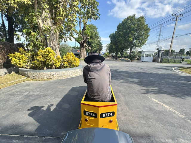  ⸻  🌳☕ Type Tree Café & Restaurant – คาเฟ่สวนร่มรื่