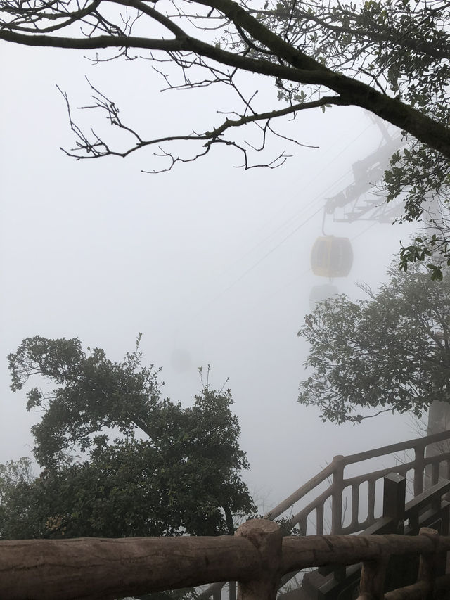 Gui Lin—One of China’s Top Ten Scenic Spots🏞️ Gui Lin—One of China’s Top Ten Scenic Spots🏞️