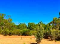 Bibbulmun Track｜探索世界級健行步道