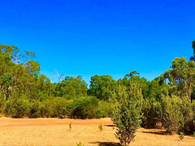 Bibbulmun Track｜探索世界級健行步道