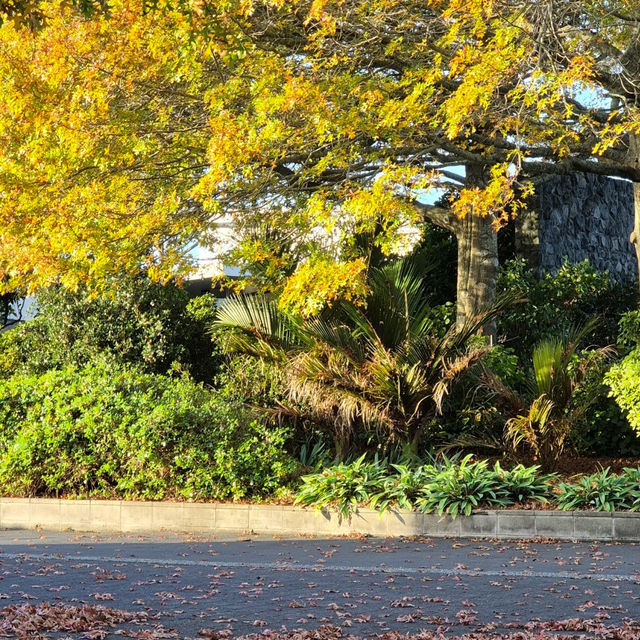 Auckland Botanic Gardens – A Living Treasure of Flora