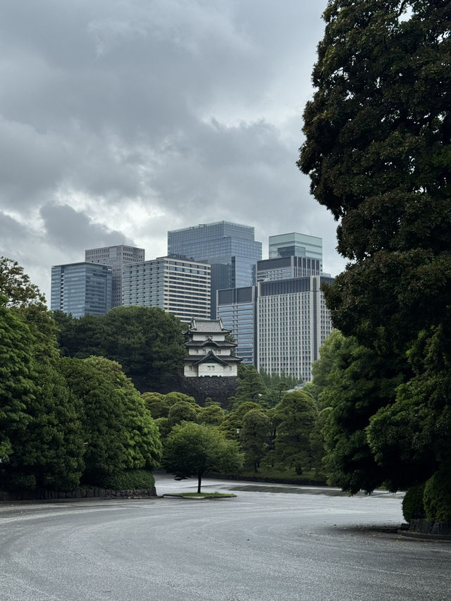 Summer in Tokyo🌤️