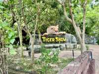 清邁夜間野生動物園親子遊  