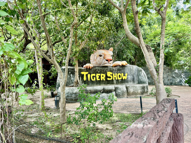 清邁夜間野生動物園親子遊  