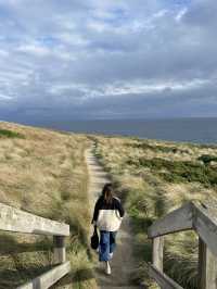 The Nobbies View Point