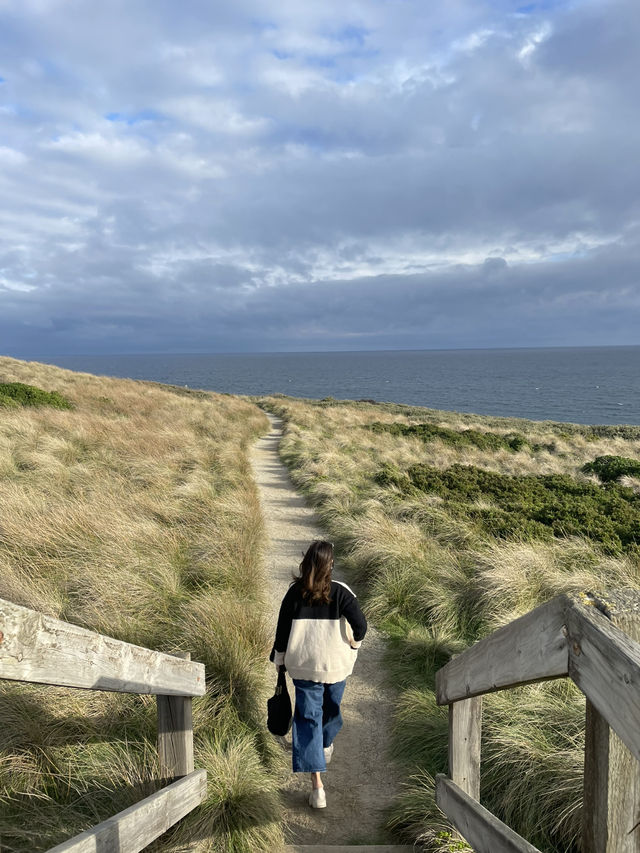 The Nobbies View Point