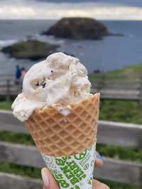 The Nobbies View Point